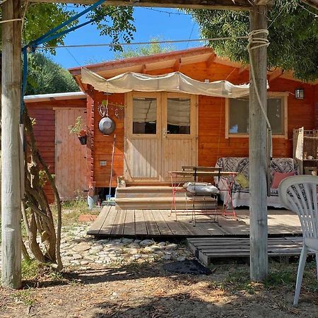 El Canto De Las Ranas Villa Barbate Ngoại thất bức ảnh