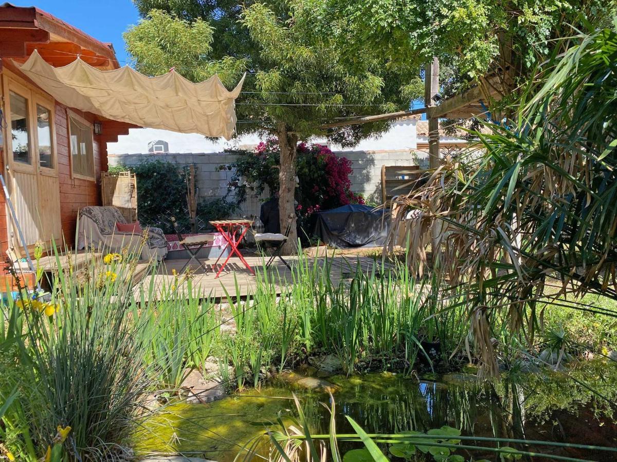 El Canto De Las Ranas Villa Barbate Ngoại thất bức ảnh